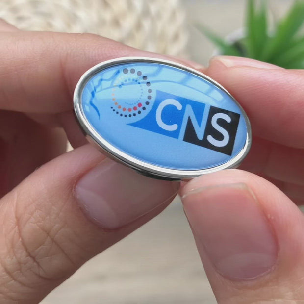 Custom Zinc Alloy Oval Badge with Doming